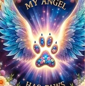 Skrzydła i łapka My Angel Has Paws                   30x40