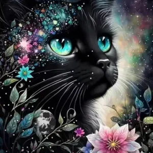 Magiczny czarny kot                                              40x50